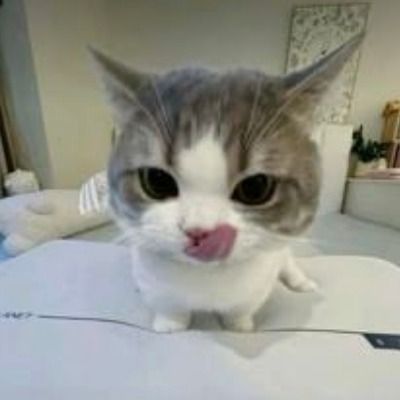 Curious thumbnail